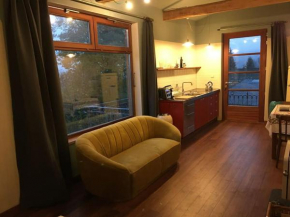 ziggy's room with a view